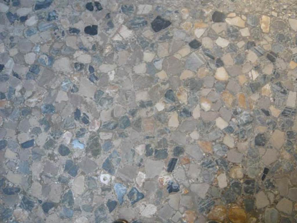 VI.1, Herculaneum. August 2013. Detail of floor in opus segmentatum in black, grey and white marble. Photo courtesy of Buzz Ferebee.